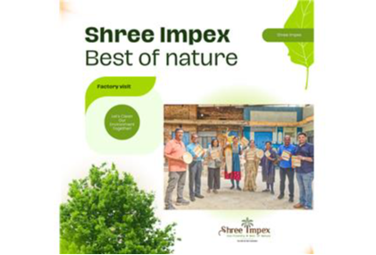 Areca Palm Leaf Plates: A Sustainable and Profitable Business Opportunity thumbnail